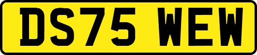 DS75WEW