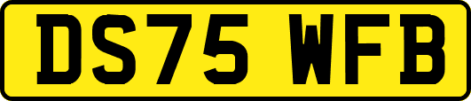 DS75WFB