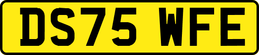 DS75WFE