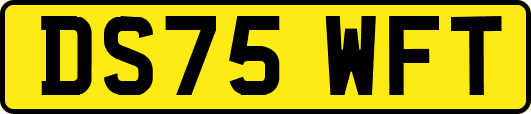 DS75WFT