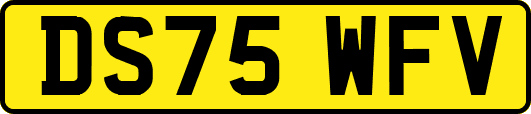 DS75WFV