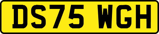 DS75WGH