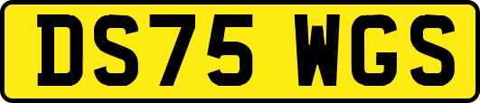 DS75WGS