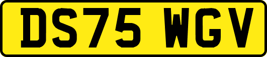 DS75WGV