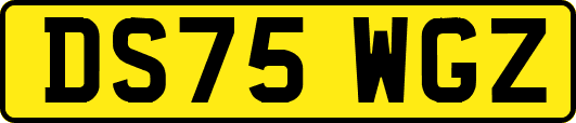 DS75WGZ