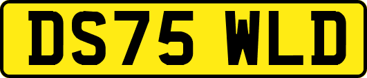 DS75WLD