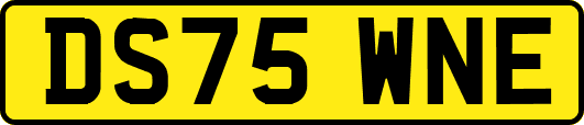 DS75WNE