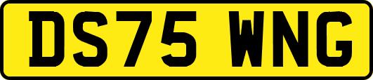 DS75WNG