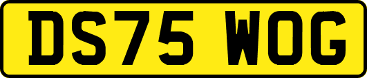 DS75WOG