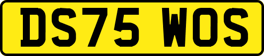 DS75WOS