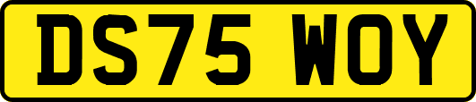 DS75WOY