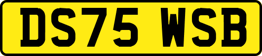 DS75WSB
