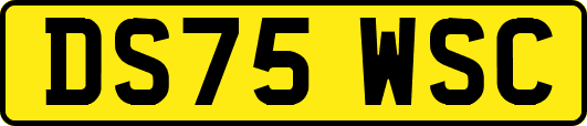 DS75WSC