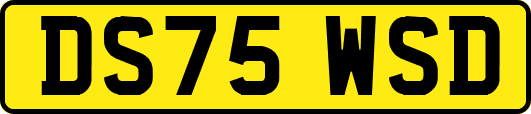 DS75WSD