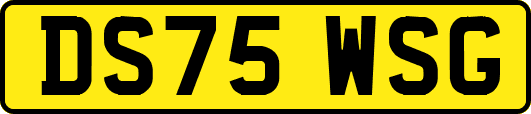 DS75WSG