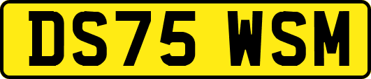 DS75WSM