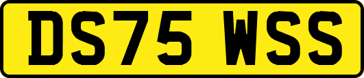 DS75WSS