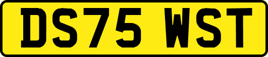 DS75WST