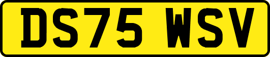 DS75WSV