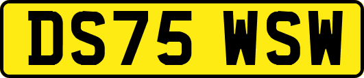 DS75WSW