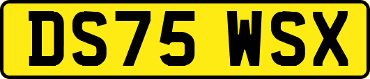 DS75WSX
