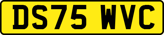 DS75WVC
