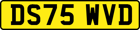 DS75WVD