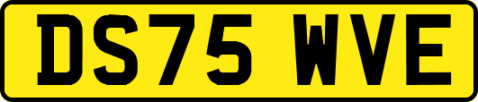 DS75WVE