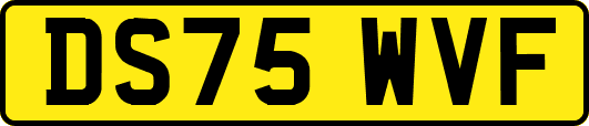 DS75WVF