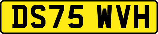DS75WVH