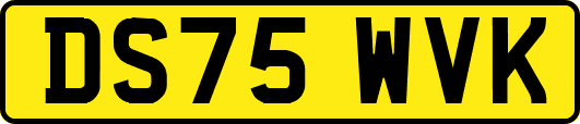 DS75WVK