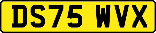 DS75WVX