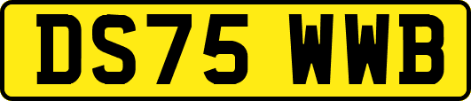 DS75WWB
