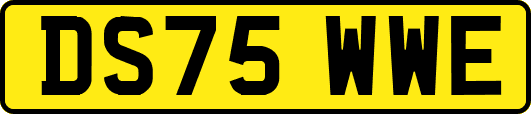 DS75WWE