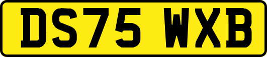 DS75WXB