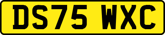 DS75WXC