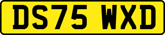 DS75WXD