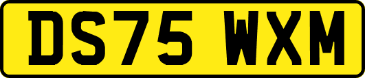 DS75WXM