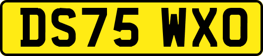 DS75WXO