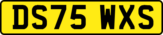 DS75WXS