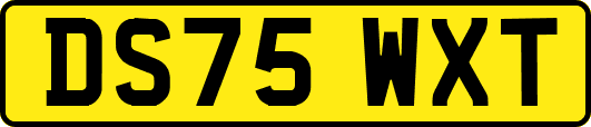 DS75WXT
