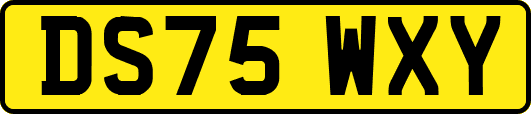 DS75WXY