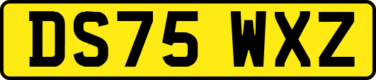 DS75WXZ