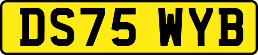DS75WYB