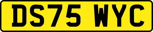 DS75WYC