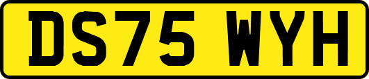 DS75WYH