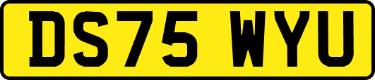 DS75WYU