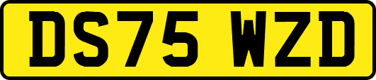 DS75WZD