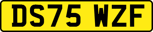 DS75WZF