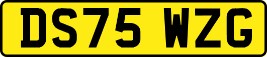 DS75WZG